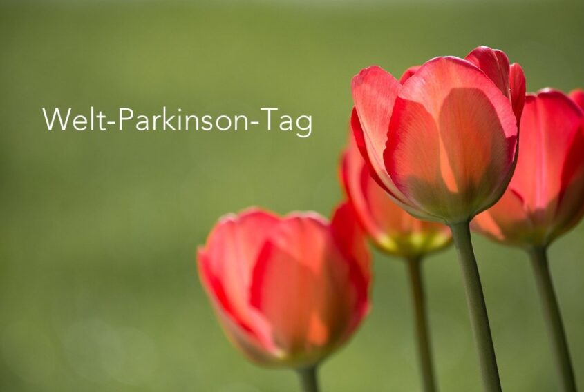 rote Tulpe Welt-Parkinson-Tag